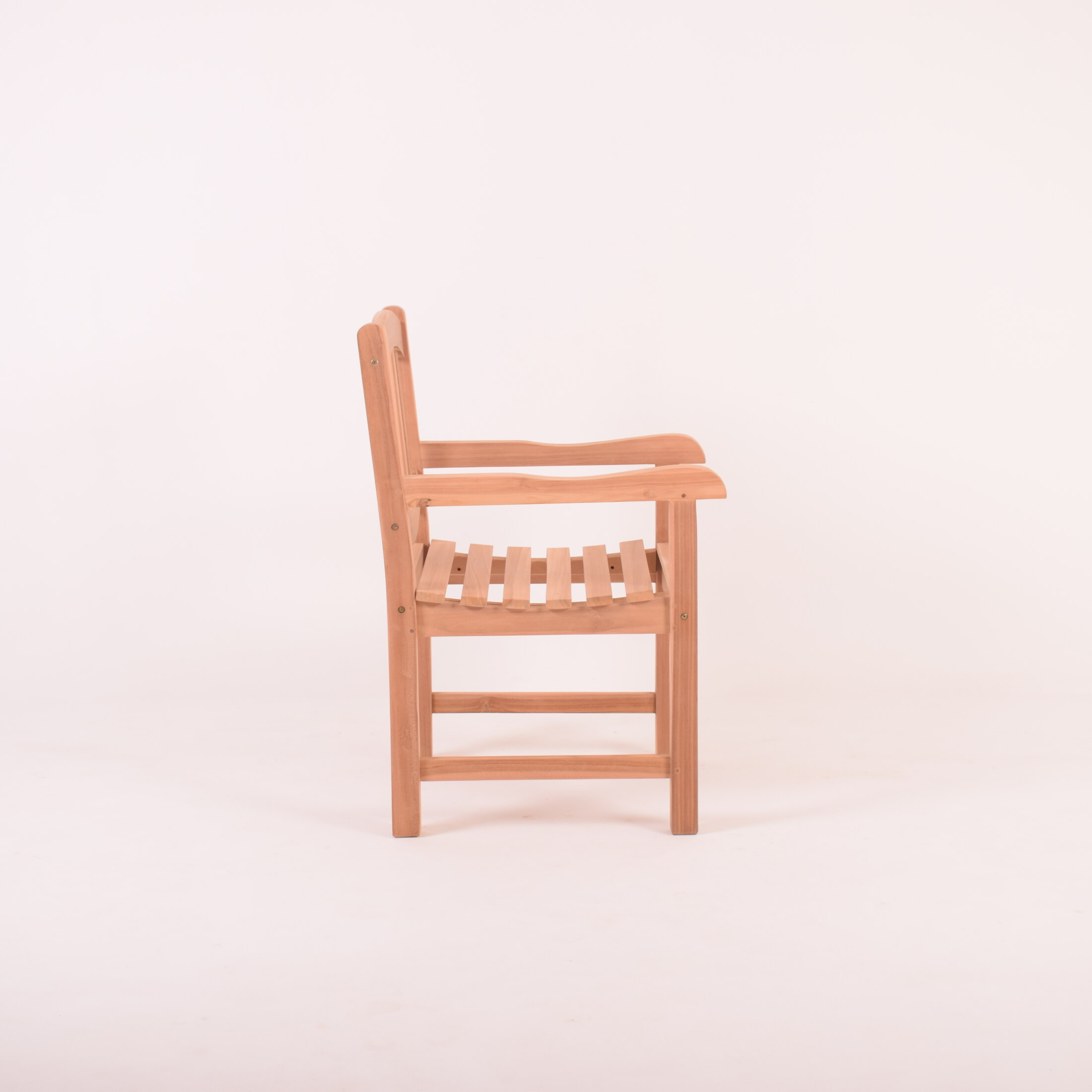 LION ARM CHAIR