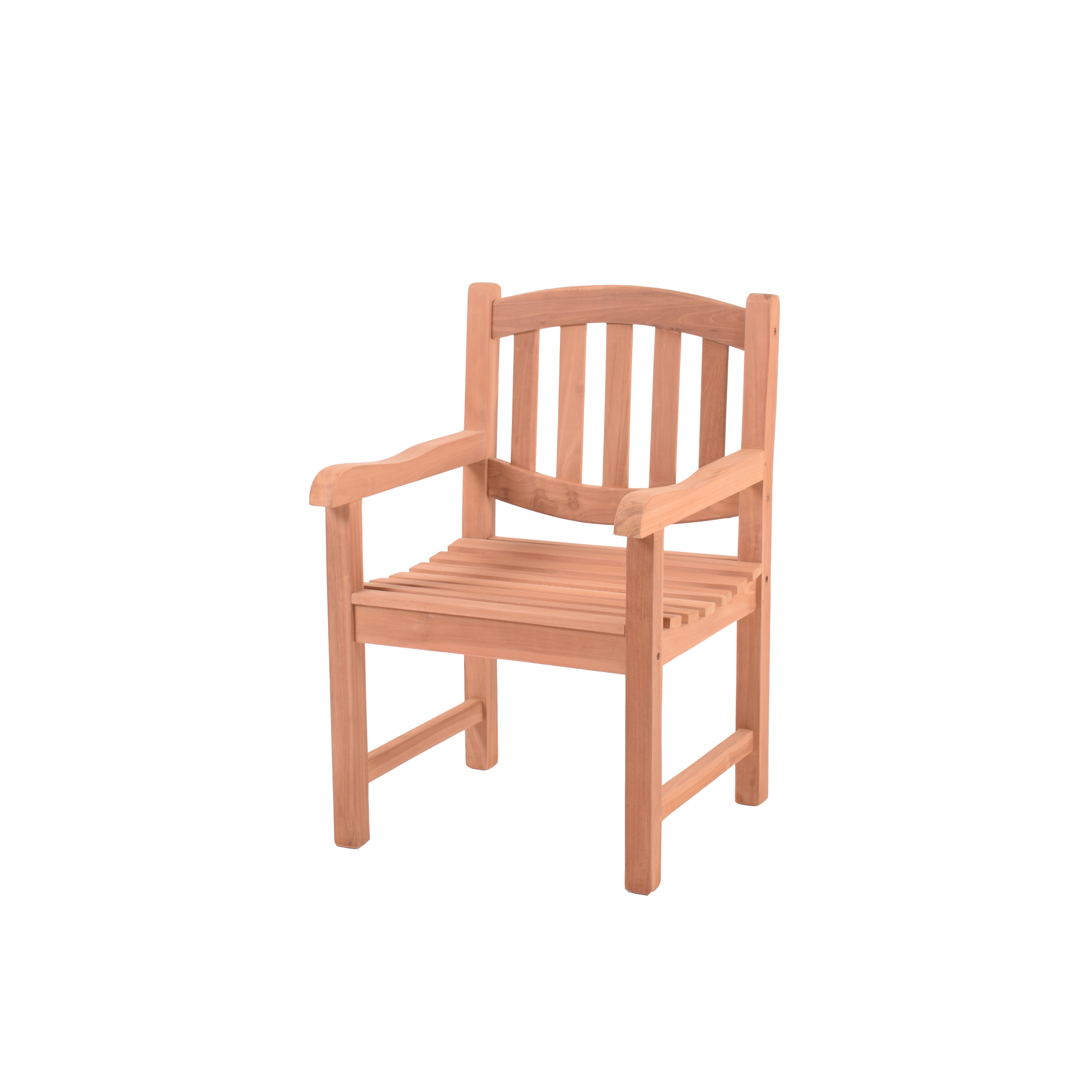 LION ARM CHAIR